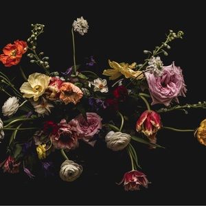 Meet your Posher, Jessie